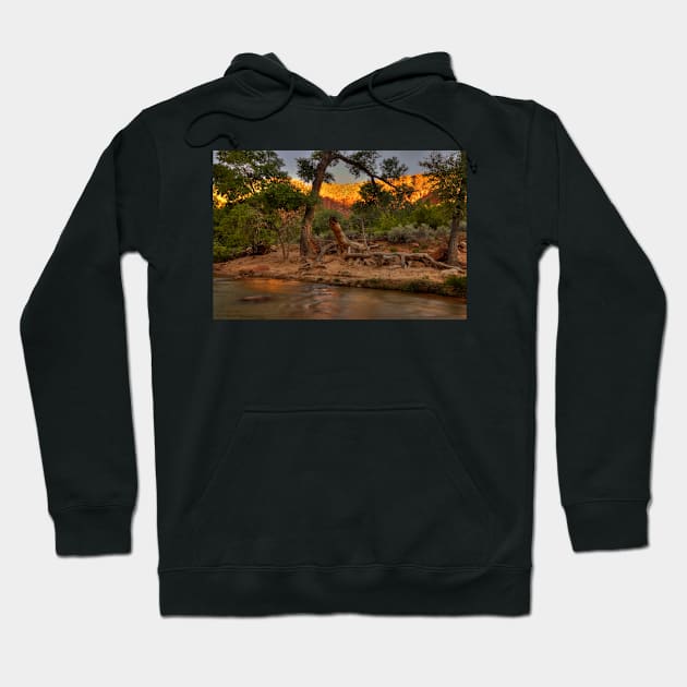 The Rugged Beauty Of Zion © Hoodie by PrinceJohn